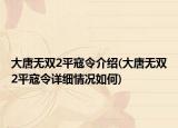 大唐無(wú)雙2平寇令介紹(大唐無(wú)雙2平寇令詳細(xì)情況如何)