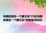 商朝的最后一個(gè)國(guó)王是?介紹(商朝的最后一個(gè)國(guó)王是?詳細(xì)情況如何)