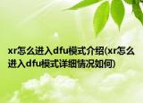 xr怎么進(jìn)入dfu模式介紹(xr怎么進(jìn)入dfu模式詳細(xì)情況如何)