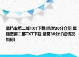 黑檔案第二部TXT下載(懸賞30分介紹 黑檔案第二部TXT下載 懸賞30分詳細(xì)情況如何)