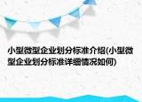 小型微型企業(yè)劃分標準介紹(小型微型企業(yè)劃分標準詳細情況如何)