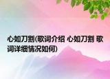 心如刀割(歌詞介紹 心如刀割 歌詞詳細(xì)情況如何)