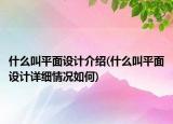 什么叫平面設(shè)計(jì)介紹(什么叫平面設(shè)計(jì)詳細(xì)情況如何)