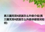 真三國(guó)無(wú)雙6武器怎么升級(jí)介紹(真三國(guó)無(wú)雙6武器怎么升級(jí)詳細(xì)情況如何)