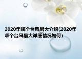 2020年哪個(gè)臺(tái)風(fēng)最大介紹(2020年哪個(gè)臺(tái)風(fēng)最大詳細(xì)情況如何)