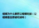 螳螂為什么要把公螳螂吃掉（公螳螂是自愿被吃掉嗎）