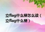 立flag什么梗怎么讀（立flag什么梗）