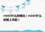 mini5什么時候出（mini5什么時候上市的）