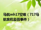 馬航mh17空難（717馬航客機(jī)墜毀事件）