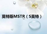 莫特斯MSTR（S莫特）