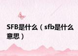 SFB是什么（sfb是什么意思）