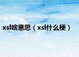 xsl啥意思（xsl什么梗）