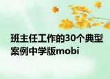 班主任工作的30個典型案例中學(xué)版mobi