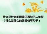 什么是什么的眼睛仿寫句子二年級（什么是什么的眼睛仿寫句子）