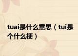 tuai是什么意思（tui是個什么梗）