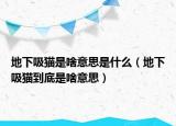 地下吸貓是啥意思是什么（地下吸貓到底是啥意思）