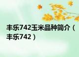 豐樂(lè)742玉米品種簡(jiǎn)介（豐樂(lè)742）