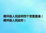 佛坪縣人民政府四個(gè)常委是誰(shuí)（佛坪縣人民政府）