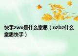 快手zwx是什么意思（nzbz什么意思快手）