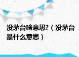 沒茅臺啥意思?（沒茅臺是什么意思）