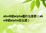 abo中的alpha是什么意思（abo中的alpha怎么讀）