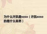 為什么許凱是soso（許凱soso的是什么意思）