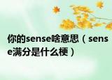 你的sense啥意思（sense滿分是什么梗）