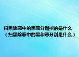 掃黑除惡中的黑惡分別指的是什么（掃黑除惡中的黑和惡分別是什么）