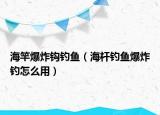 海竿爆炸鉤釣魚（海桿釣魚爆炸釣怎么用）