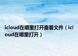 icloud在哪里打開查看文件（icloud在哪里打開）