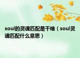 soul的靈魂匹配是干啥（soul靈魂匹配什么意思）