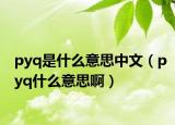 pyq是什么意思中文（pyq什么意思啊）