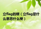 立flag的梗（立flag是什么意思什么梗）