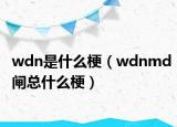 wdn是什么梗（wdnmd閘總什么梗）