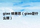 giao 啥意思（giao是什么梗）