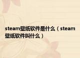 steam壁紙軟件是什么（steam壁紙軟件叫什么）