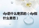 dp是什么意思的（dp指什么意思）