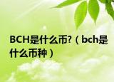 BCH是什么幣?（bch是什么幣種）