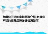 有哪些不錯(cuò)的童鞋品牌介紹(有哪些不錯(cuò)的童鞋品牌詳細(xì)情況如何)