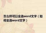 怎么樣可以全選word文字（如何全選word文字）