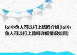 lol小魚人可以打上路嗎介紹(lol小魚人可以打上路嗎詳細(xì)情況如何)