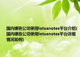 國內(nèi)哪些公司使用lotusnotes平臺介紹(國內(nèi)哪些公司使用lotusnotes平臺詳細(xì)情況如何)