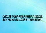 凸顯出來下面類似饅頭的褲子介紹(凸顯出來下面類似饅頭的褲子詳細(xì)情況如何)