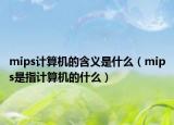 mips計算機的含義是什么（mips是指計算機的什么）