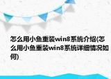 怎么用小魚重裝win8系統(tǒng)介紹(怎么用小魚重裝win8系統(tǒng)詳細情況如何)