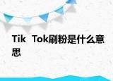 Tik  Tok刷粉是什么意思