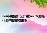 noir風(fēng)格是什么介紹(noir風(fēng)格是什么詳細(xì)情況如何)