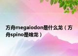 方舟megalodon是什么龍（方舟spino是啥龍）