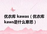 優(yōu)衣庫(kù) kawas（優(yōu)衣庫(kù)kaws是什么意思）