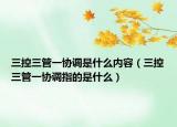 三控三管一協(xié)調(diào)是什么內(nèi)容（三控三管一協(xié)調(diào)指的是什么）